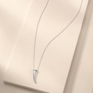 Brand New-Delicate Horn Necklace